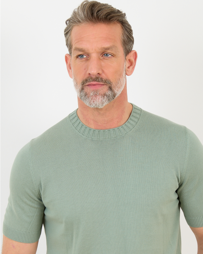Pullover Paricollo Sage