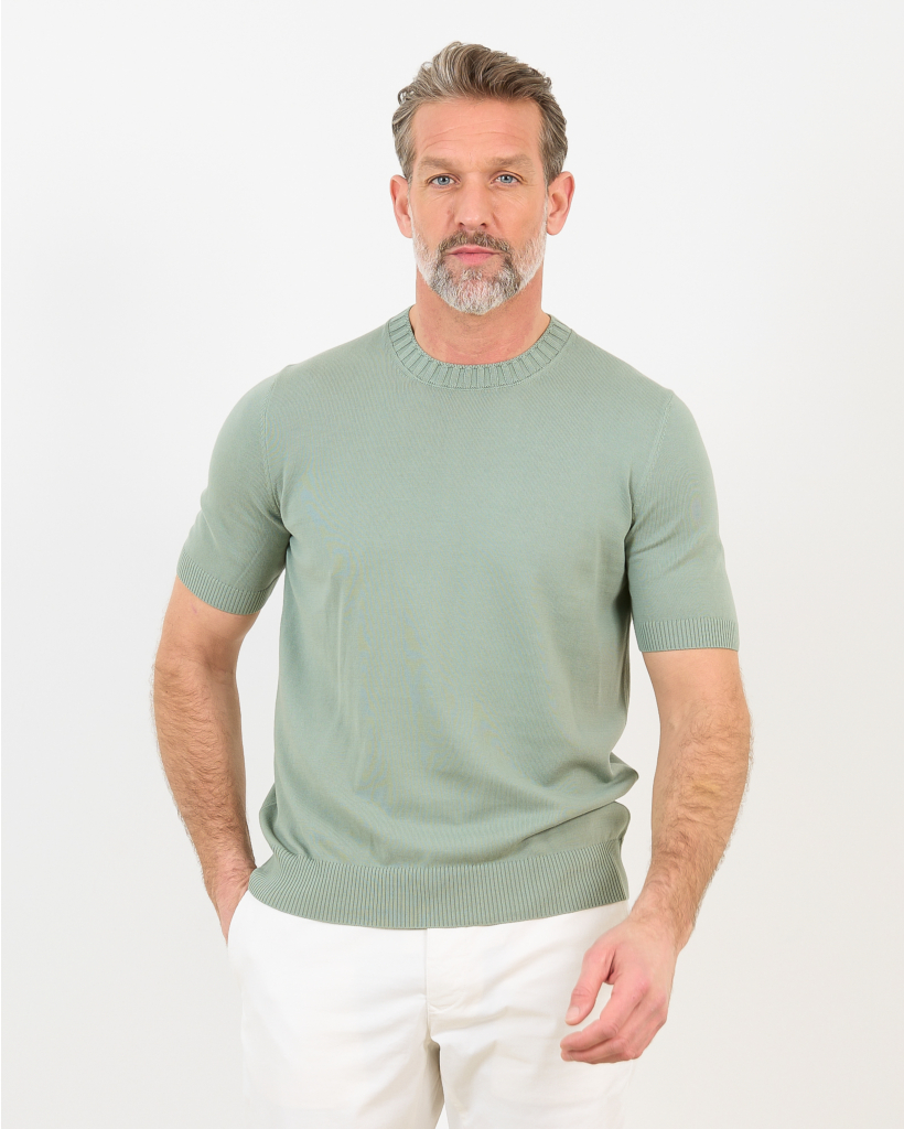Pullover Paricollo Sage